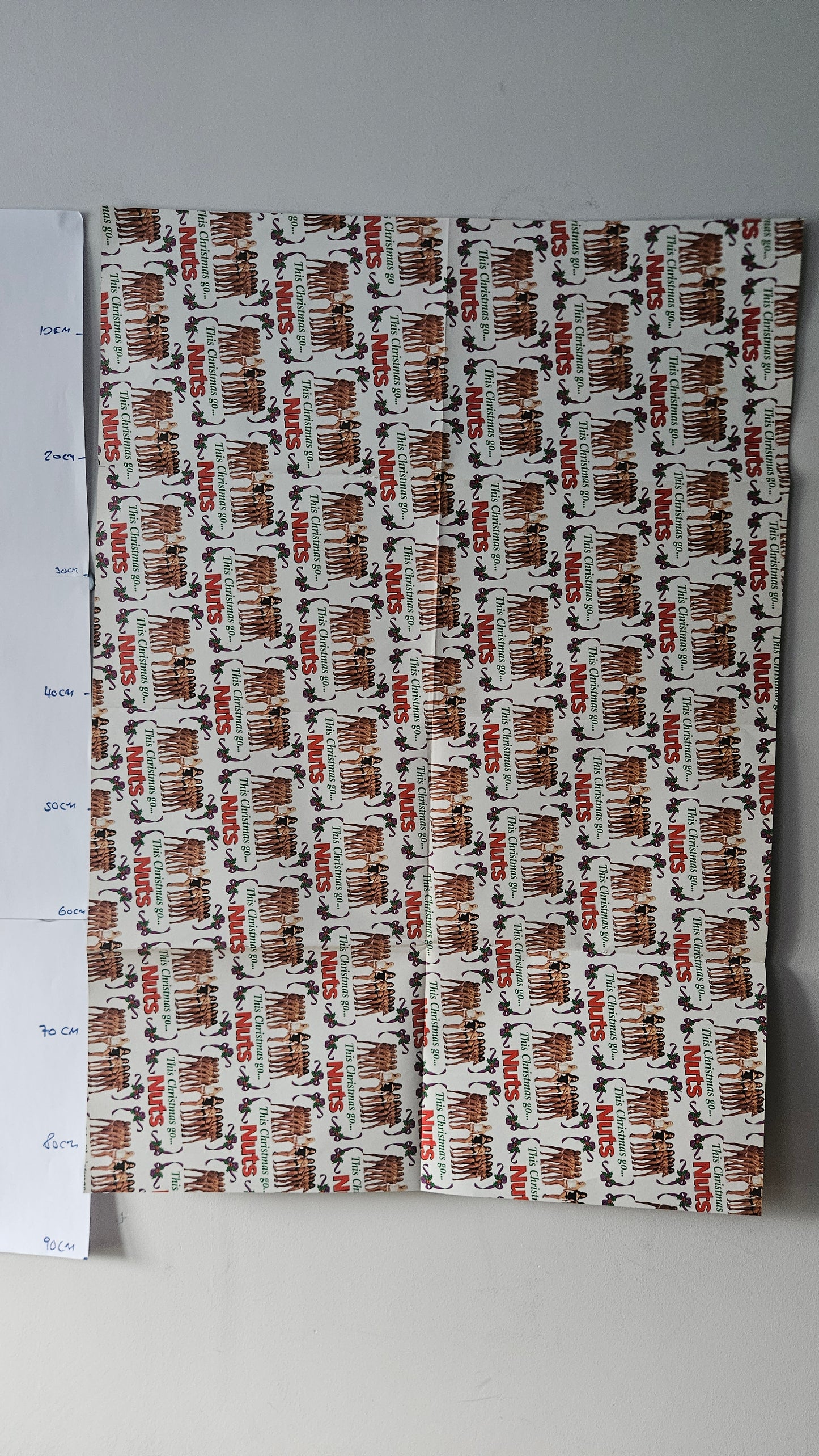 Nuts Magazine Poster (007) Lucy Pinder Christmas Printed Autograph Wrapping Paper