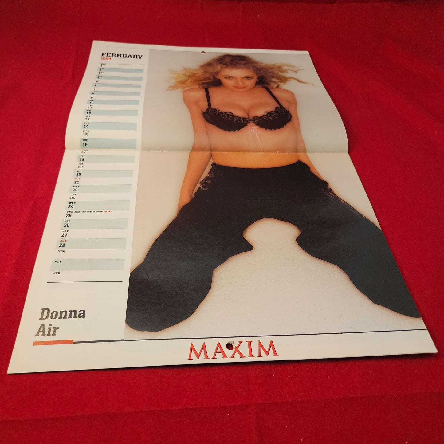 Maxim Magazine The World's Sexiest Calendar 1999 TV Stars Pamela Anderson (1228)
