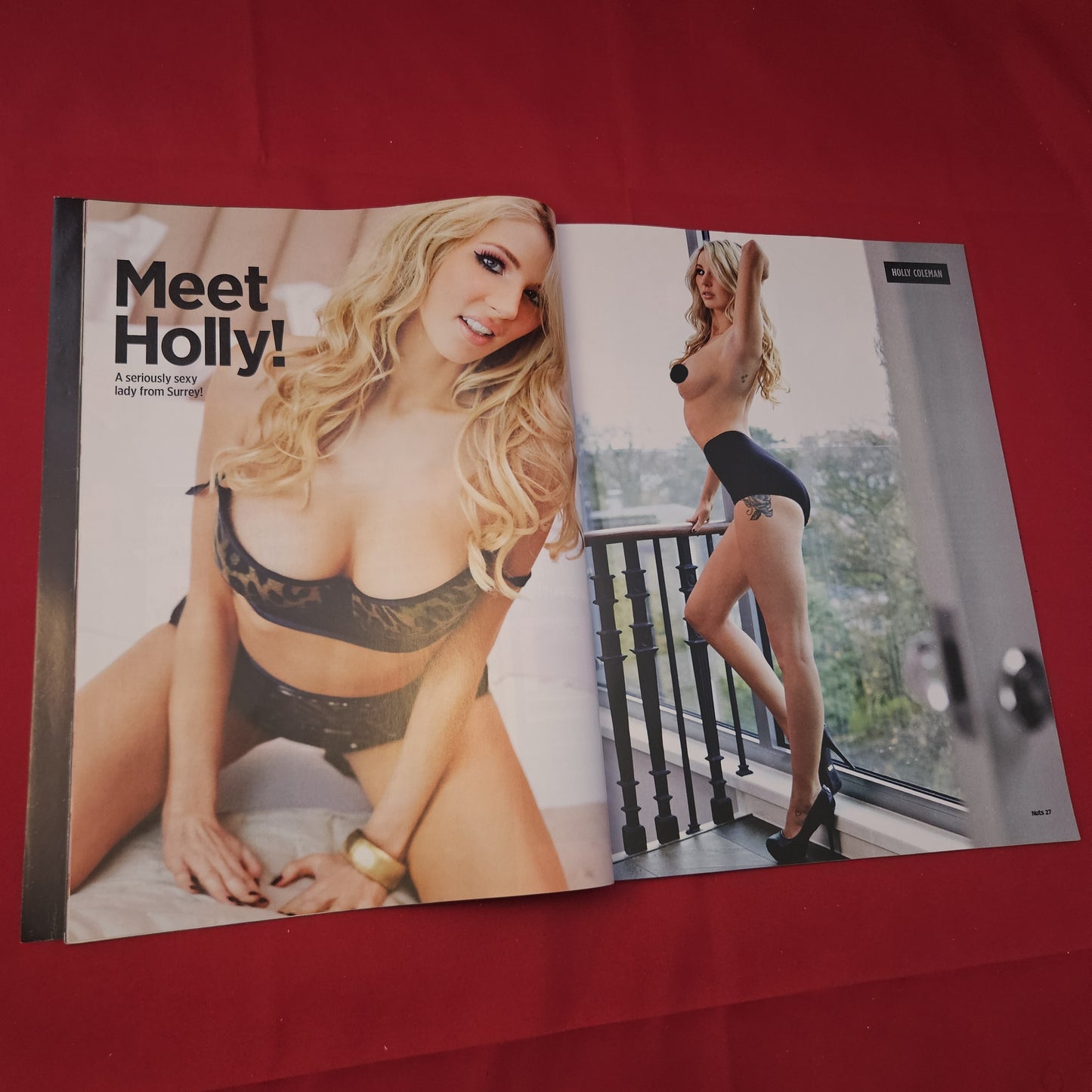 Nuts Magazine 31 January 2014 (1230) Holly Coleman POSTER Jasmine Waltz