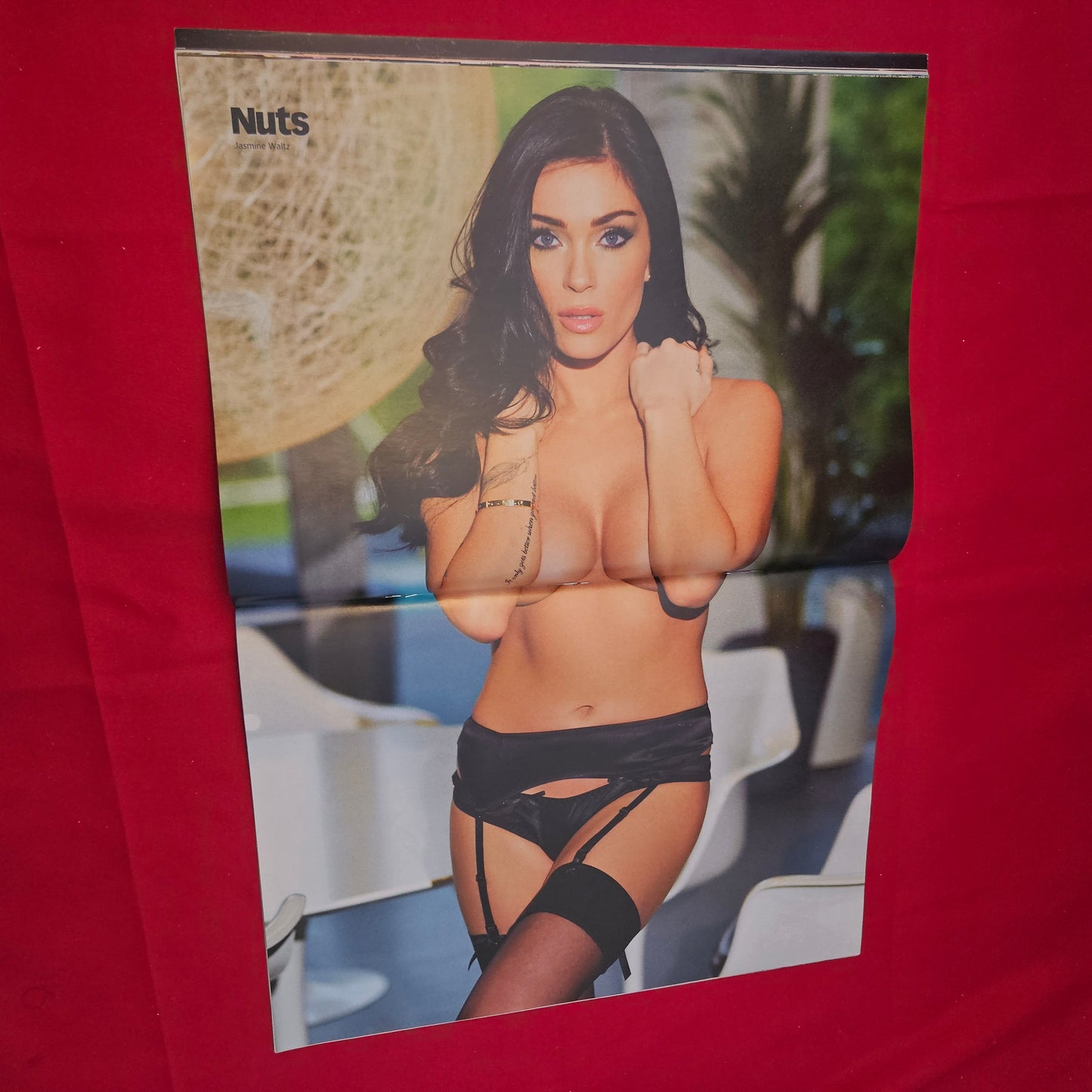 Nuts Magazine 31 January 2014 (1230) Holly Coleman POSTER Jasmine Waltz