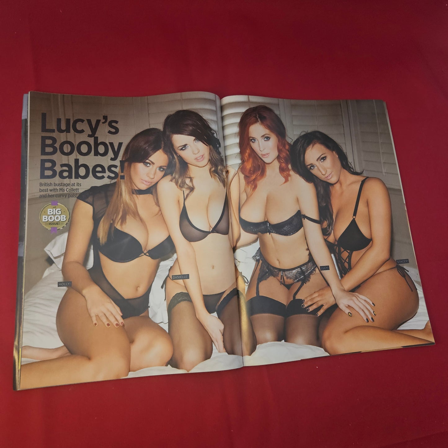 NUTS Magazine 23-29 November 2012 (1302) LUCY COLLETT POSTER Holly Peers Danielle Sharp