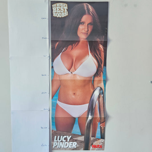 Nuts Magazine Fold-Out Poster (007) Lucy Pinder Kelly Brook Keeley Hazell Top 50