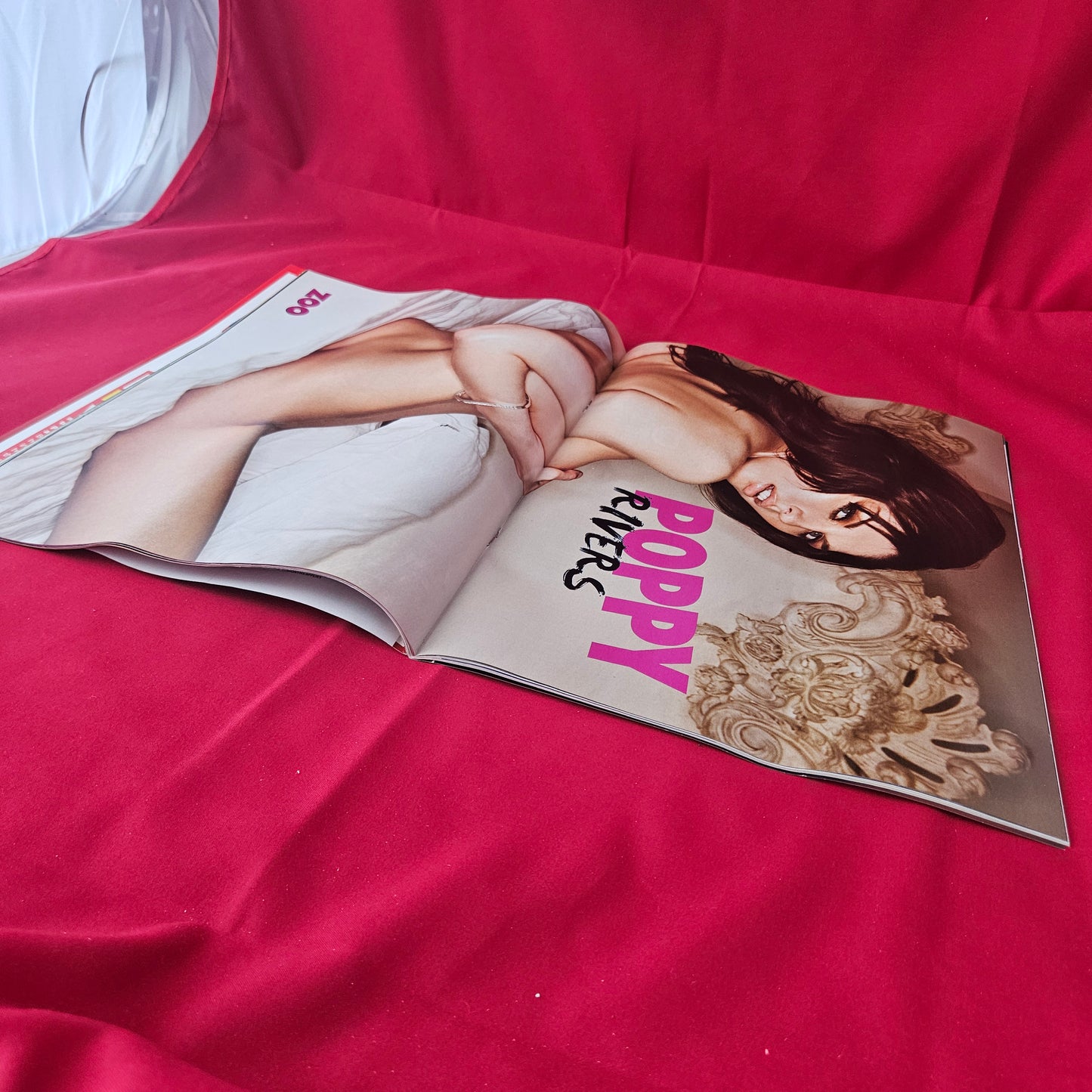 Zoo Magazine 2-8 July 2010 (1369) POSTERS INTACT! Poppy Rivers Amie Casey