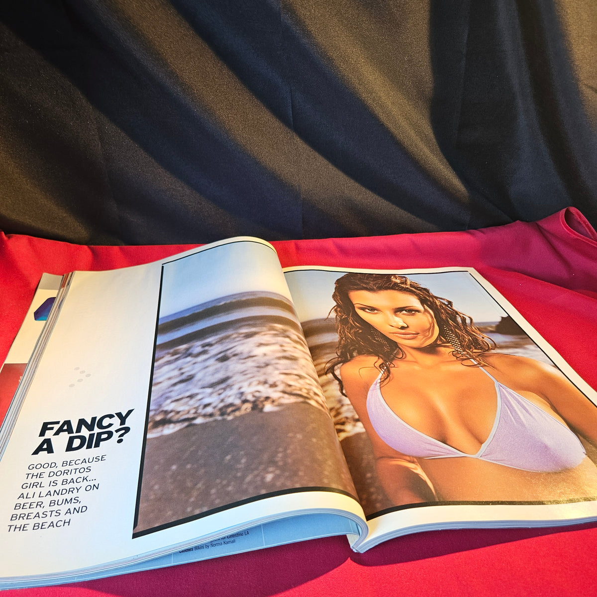 Maxim Magazine January 2001 Ali Landry Charlie Sheen Gena Lee Nolin Vicki Butler-Henderson SKU 1529
