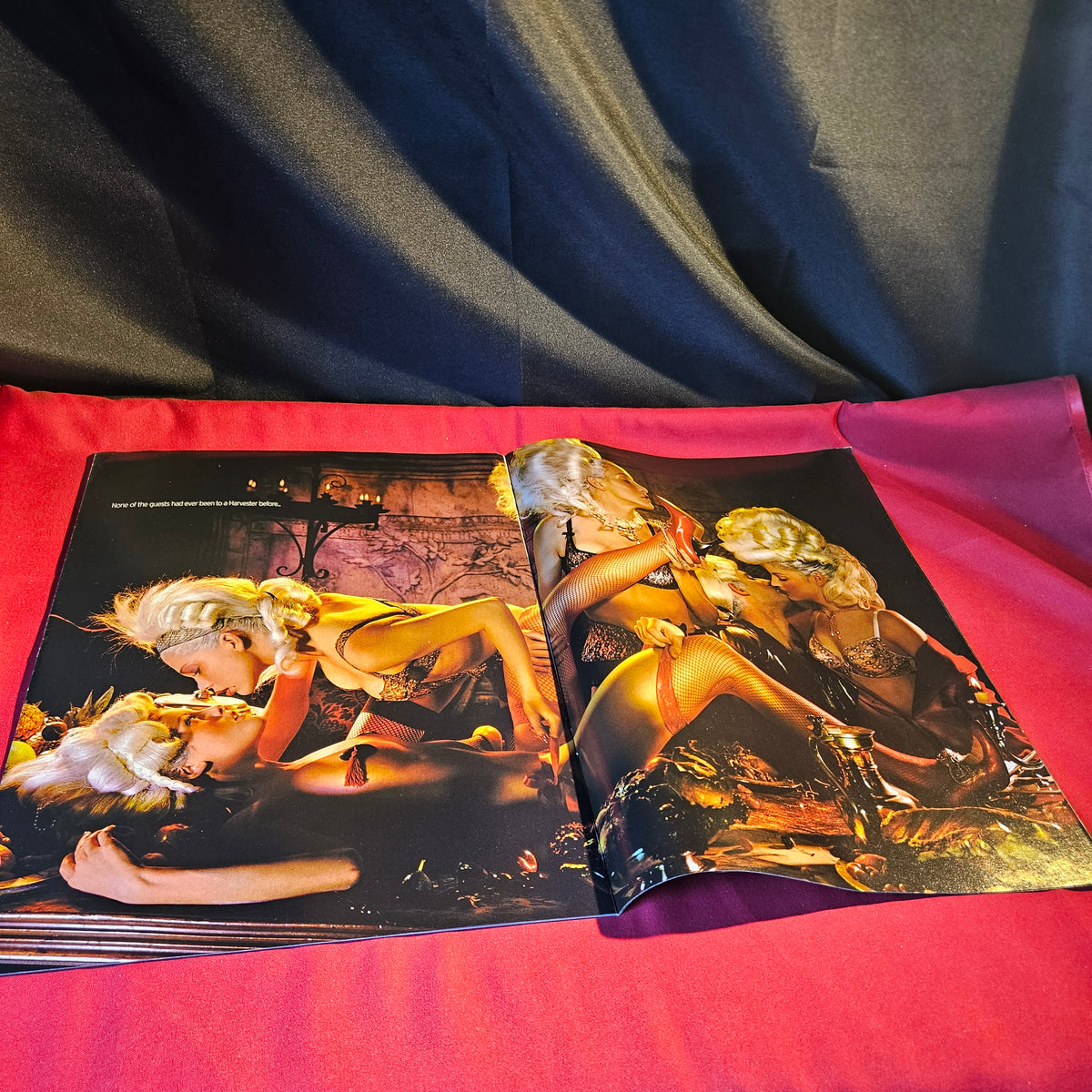 Maxim Magazine Agent Provocateur Les Lingerie Dangereuses Supplement SKU 1564